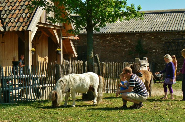 kinderboerderij