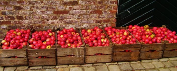 oosterbergse appels