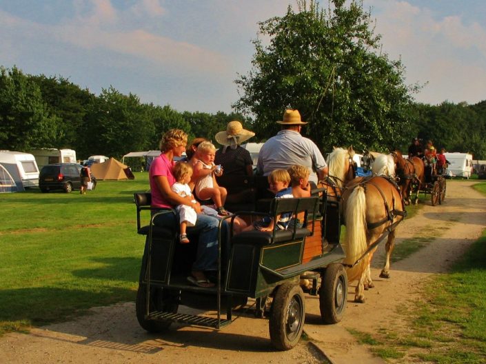 paard en wagen