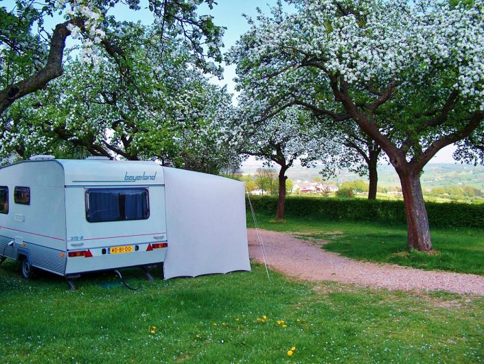 in de boomgaard