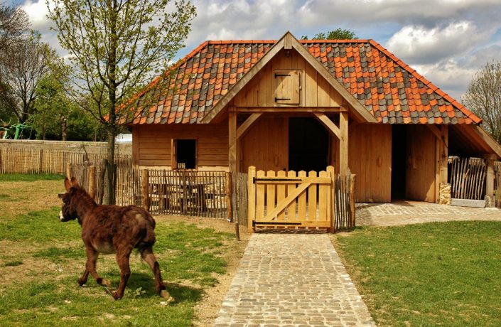 kinderboerderij