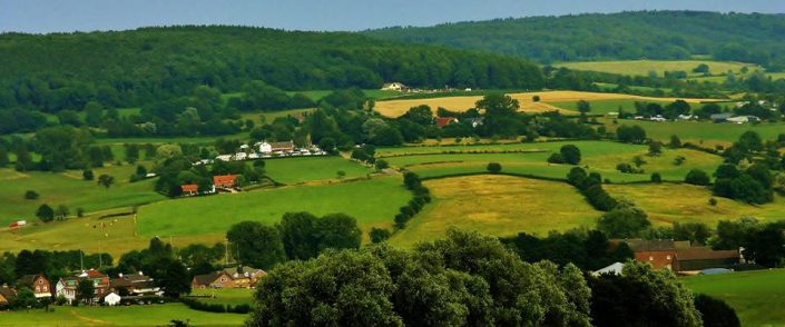 uitzicht richting vijlenerbos
